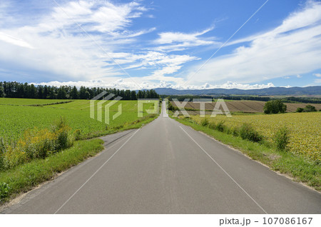 北海道 美瑛の一本道 北海道 美瑛の一本道 107086167