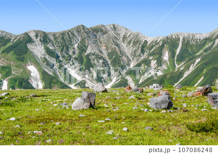 立山室堂平より別山方向を望む 107086248