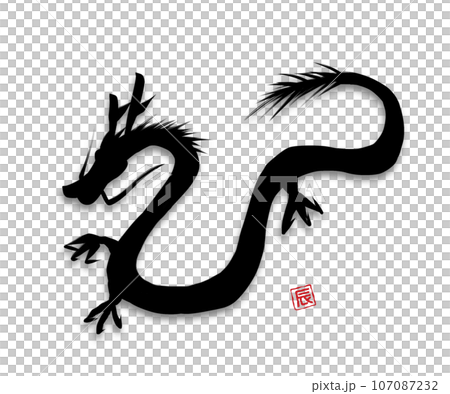 Dragon silhouette (with shadow) 107087232