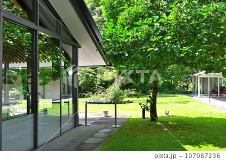 箱根ラリック美術館の景色 107087236