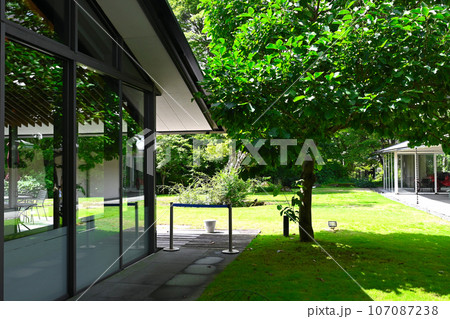 箱根ラリック美術館の景色 箱根ラリック美術館の景色 107087238