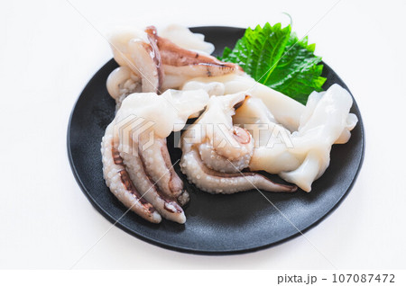 紋甲イカ 107087472
