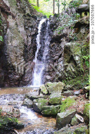 毛呂山町の森林の岩壁に囲まれた獅子ヶ滝の風景 107087666