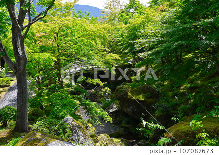 箱根美術館の景色 箱根美術館の景色 107087673