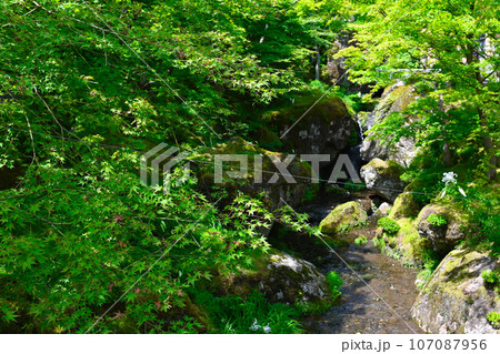 箱根美術館の景色 箱根美術館の景色 107087956
