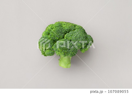 Fresh broccoli on a gray background. Fresh broccoli on a gray background. 107089055