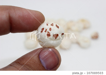 Makhana chiwda or Foxnuts with selective focus 107089503