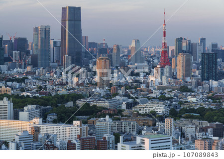 夕暮れの東京タワーと東京都心の都市風景 107089843