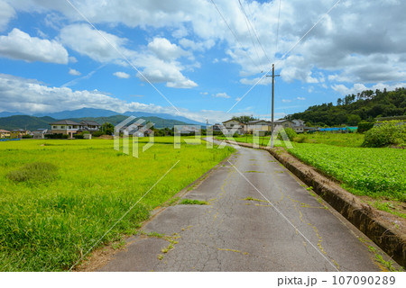 【鎌倉道・推定】いざ鎌倉!【上田市】 【鎌倉道・推定】いざ鎌倉!【上田市】 107090289