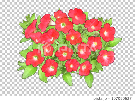 Petunia Petunia Red 107090627