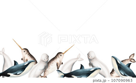 Watercolor frame with beluga, killer whale and narwhal isolated on white background. Hand painting realistic Arctic and Antarctic banner with ocean mammals. For designers, decoration, postcards, 107090963