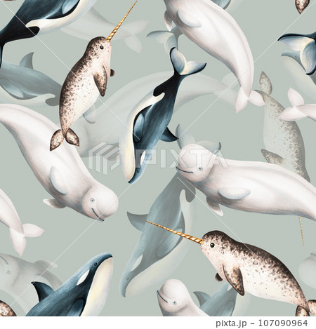 Watercolor seamless pattern with beluga, killer whale and narwhal isolated on white background. Hand painting realistic Arctic and Antarctic ocean mammals. For designers, decoration, postcards, 107090964