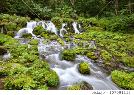 【動画あり】ふきだし公園・羊蹄のふきだし湧水(北海道虻田郡京極町) 【動画あり】ふきだし公園・羊蹄のふきだし湧水(北海道虻田郡京極町) 107091113
