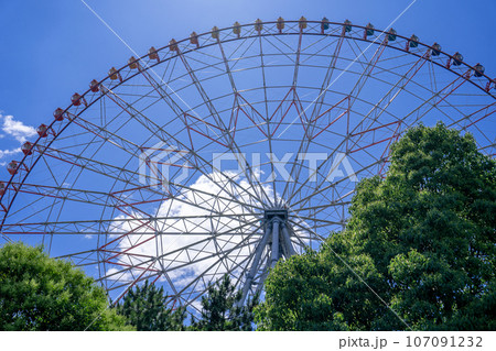 葛西臨海公園のダイヤと花の大観覧車 葛西臨海公園のダイヤと花の大観覧車 107091232