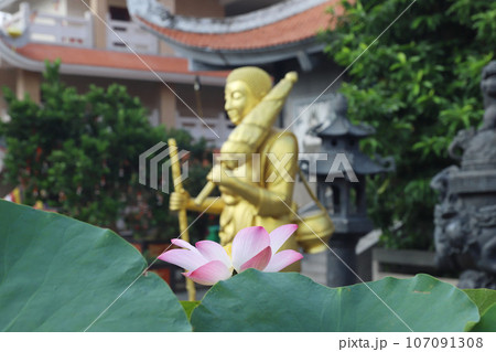 ヴィンギエム寺(永厳寺)　ベトナム　ホーチミン 107091308