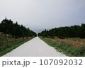 白い道_続く道 107092032