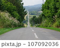 まっすぐな道　ジェットコースターの道 107092036