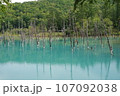 青い池 107092038
