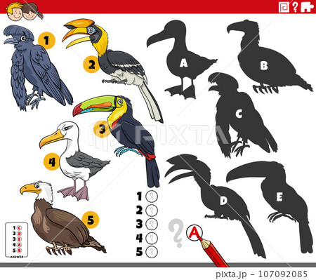 shadows game with cartoon birds animal characters 107092085