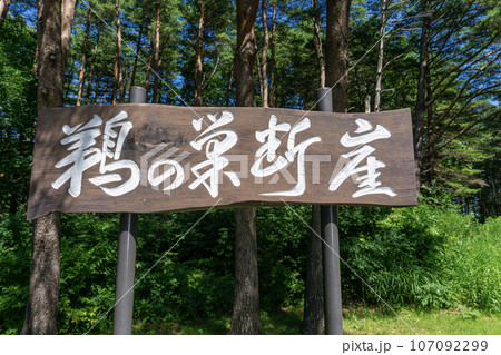 鵜の巣断崖の風景 107092299