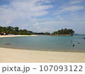 Beach of Sentosa Island / セントーサ島のビーチ 107093122