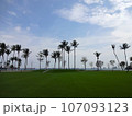 Beach at Sentosa Island / セントーサ島のビーチ（芝生） 107093123