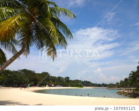 Beach of Sentosa Island / セントーサ島のビーチ（ヤシの木） 107093125