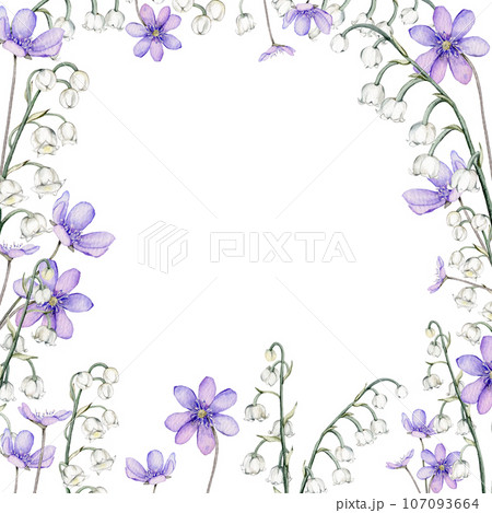 Frame watercolor spring flowers. Coppice, hepatica - first spring flowers. Spring lily of the valley Illustration of delicate lilac flowers. Hand drawn texture with white and violet flowers 107093664