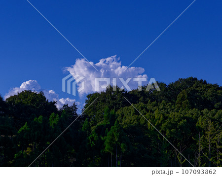 夏の青空と白い雲 夏の青空と白い雲 107093862