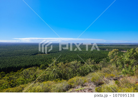 Glass House Mountains in Queensland Australia Glass House Mountains in Queensland Australia 107095138