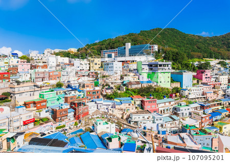 釜山 甘川文化村 釜山 甘川文化村 107095201