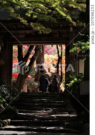 瑞宝寺公園紅葉 瑞宝寺公園紅葉 107096233