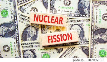 Nuclear fission symbol. Concept words Nuclear fission on beautiful wooden blocks. Dollar bills. Beautiful background from dollar bills. Business science nuclear fission concept. Copy space. Nuclear fission symbol. Concept words Nuclear fission on beautiful wooden blocks. Dollar bills. Beautiful background from dollar bills. Business science nuclear fission concept. Copy space. 107097602