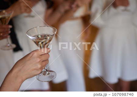 Clinking glasses with alcohol and toasting, party. 107098740