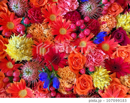 赤色・青色・オレンジ色・黄色のお花の詰め合わせ 107099183