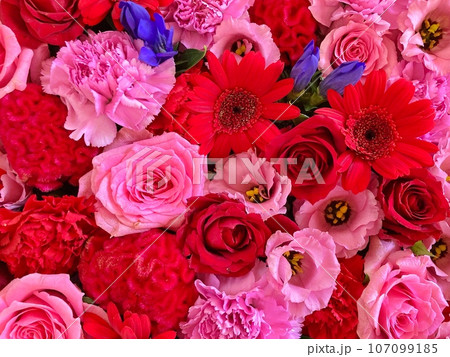 赤色・ピンク色・青色のお花の詰め合わせ 赤色・ピンク色・青色のお花の詰め合わせ 107099185