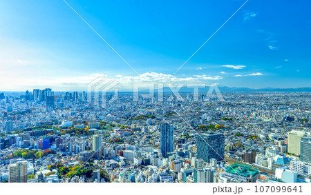 東京 西に広がる大都会武蔵野台地の街並みと富士山 東京 西に広がる大都会武蔵野台地の街並みと富士山 107099641