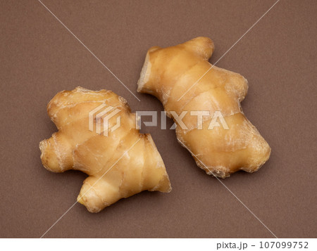 ショウガ 107099752