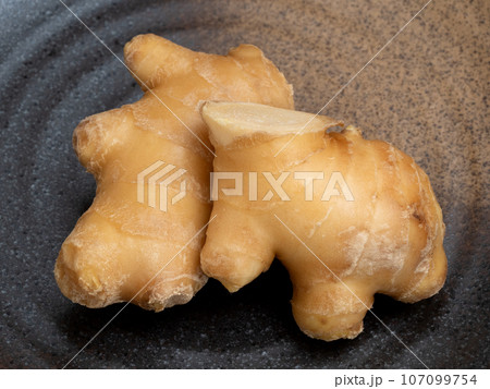 ショウガ 107099754