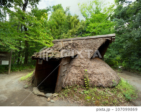 遺跡庭園 縄文の村 東京都 遺跡庭園 縄文の村 東京都 107099869