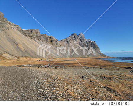Famous vestrahorn mountains on beach with huge rocky hills in amazing nordic landscape and fields in Iceland. Stokksnes beach creating wintry natural setting, arctic ocean shoreline. 107101103