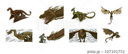 Set of Dragon in Vintage style. Mythological animal or traditional reptile. Symbol for tattoo or Set of Dragon in Vintage style. Mythological animal or traditional reptile. Symbol for tattoo or 107101752