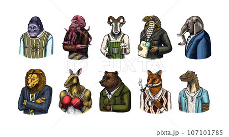 Grizzly Bear, Octopus, t-rex dinosaur, Elephant, Indian cobra snake, Fox with a smoking pipe, lion Grizzly Bear, Octopus, t-rex dinosaur, Elephant, Indian cobra snake, Fox with a smoking pipe, lion 107101785