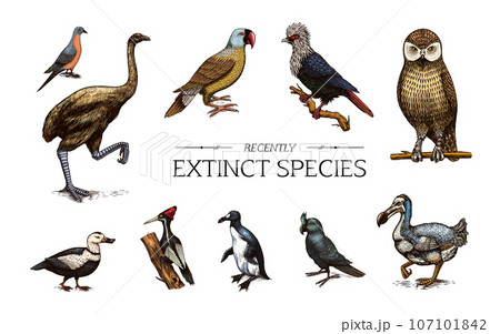 Extinct species. Wild mammal animals and birds.Dodo. Moa Passenger pigeon Great auk. Penguin Extinct species. Wild mammal animals and birds.Dodo. Moa Passenger pigeon Great auk. Penguin 107101842