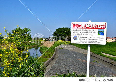原市沼川との合流点付近の綾瀬川 107102486