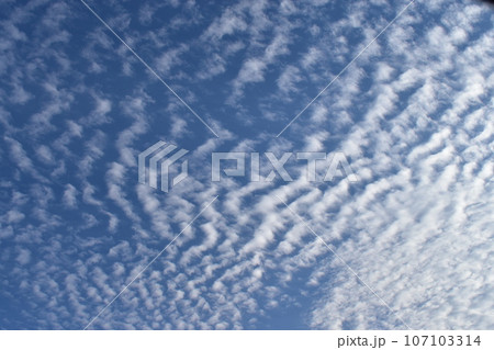 青空に広がるうろこ雲 107103314