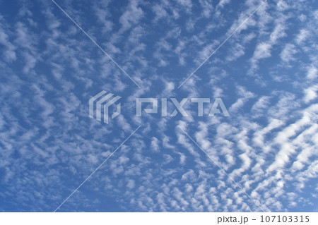 青空に広がるうろこ雲 青空に広がるうろこ雲 107103315
