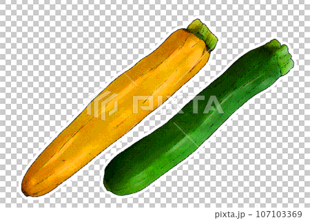 西葫蘆插畫素材 西葫蘆插畫素材 107103369
