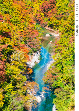 小安峡(秋) 小安峡(秋) 107103453