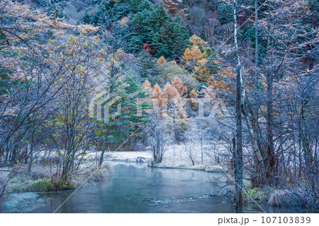 【秋の上高地】田代池の紅葉と霧氷 【秋の上高地】田代池の紅葉と霧氷 107103839